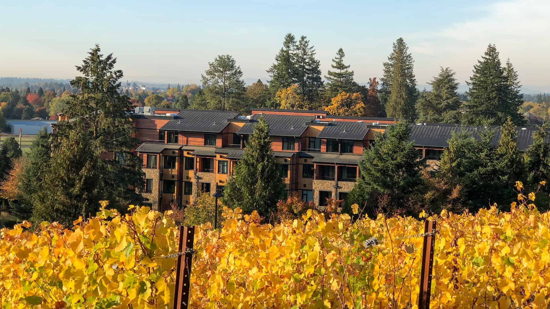 Autumn Colors At The Allison