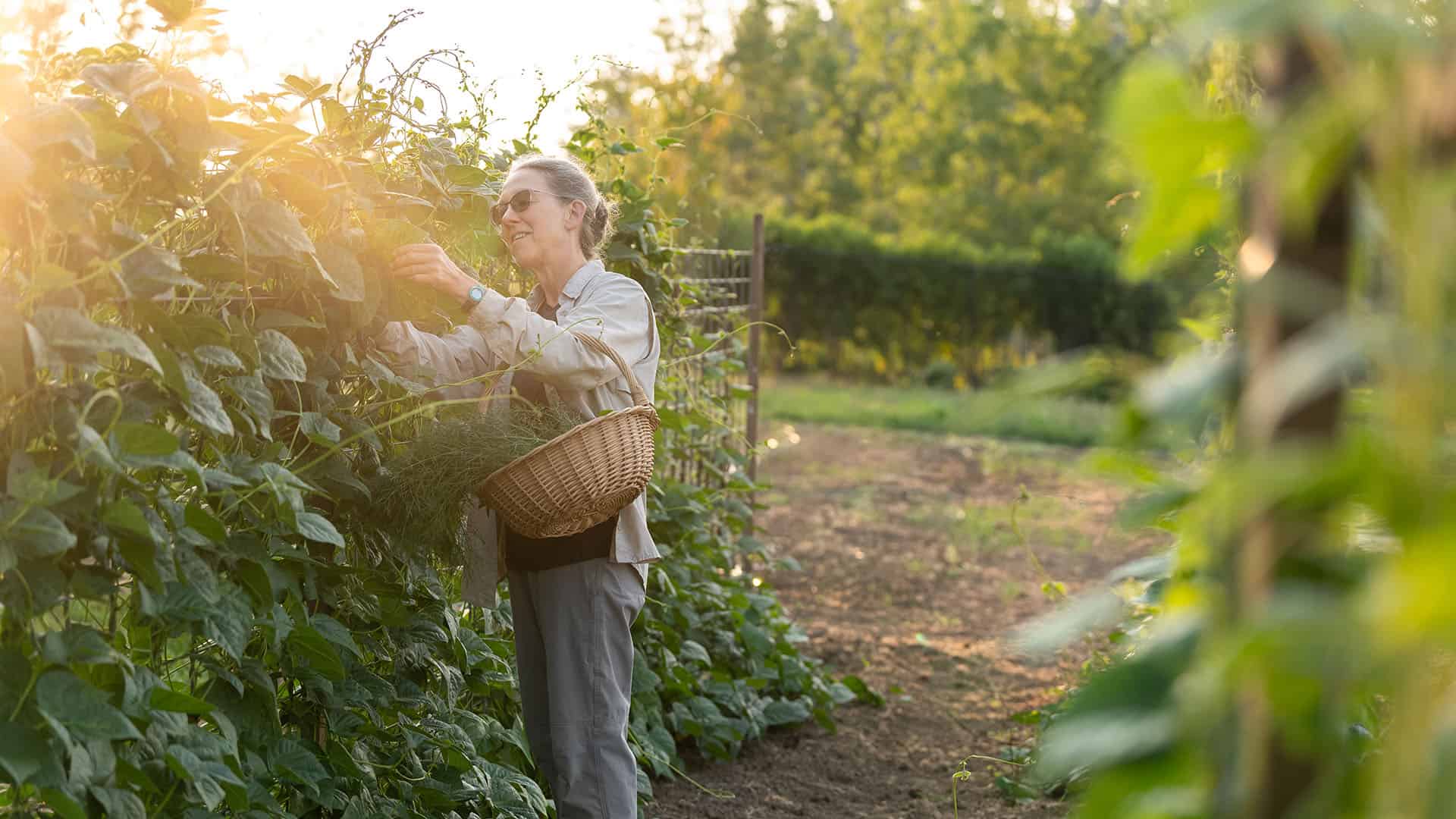 Anna Tends Chefs Garden At The Allison