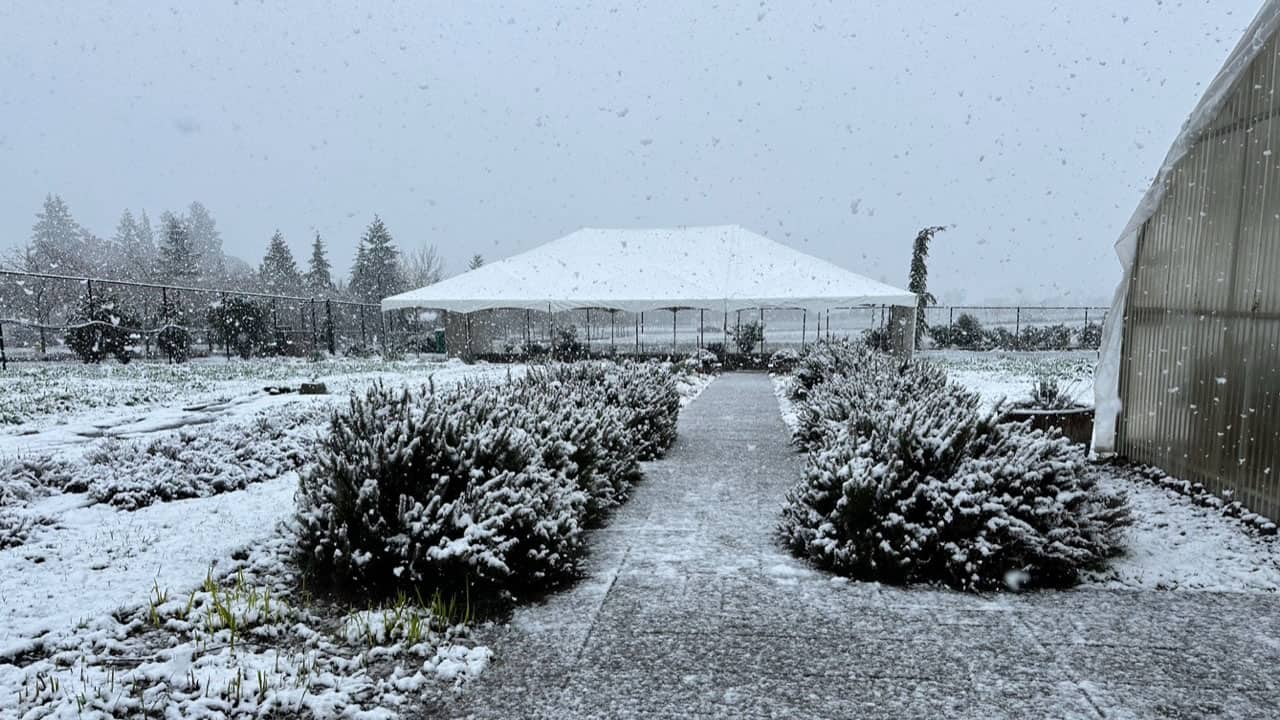 Chefs Garden Outdoor Event Tent In the Snow