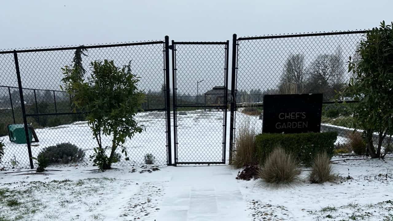 Chefs Garden Blanketed In Snow