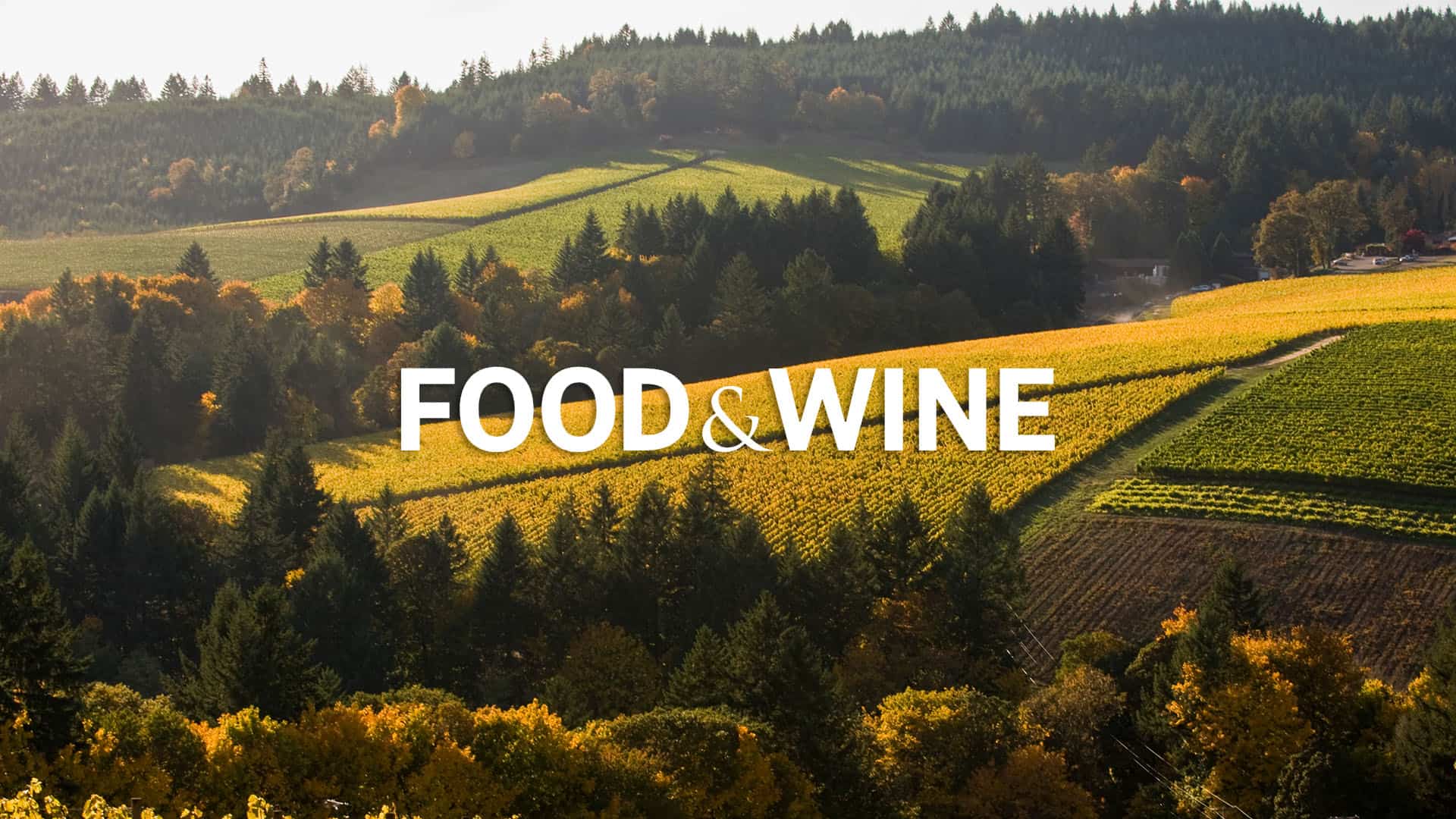 Willamette Valley, Oregon Vineyards In Autumn Colors
