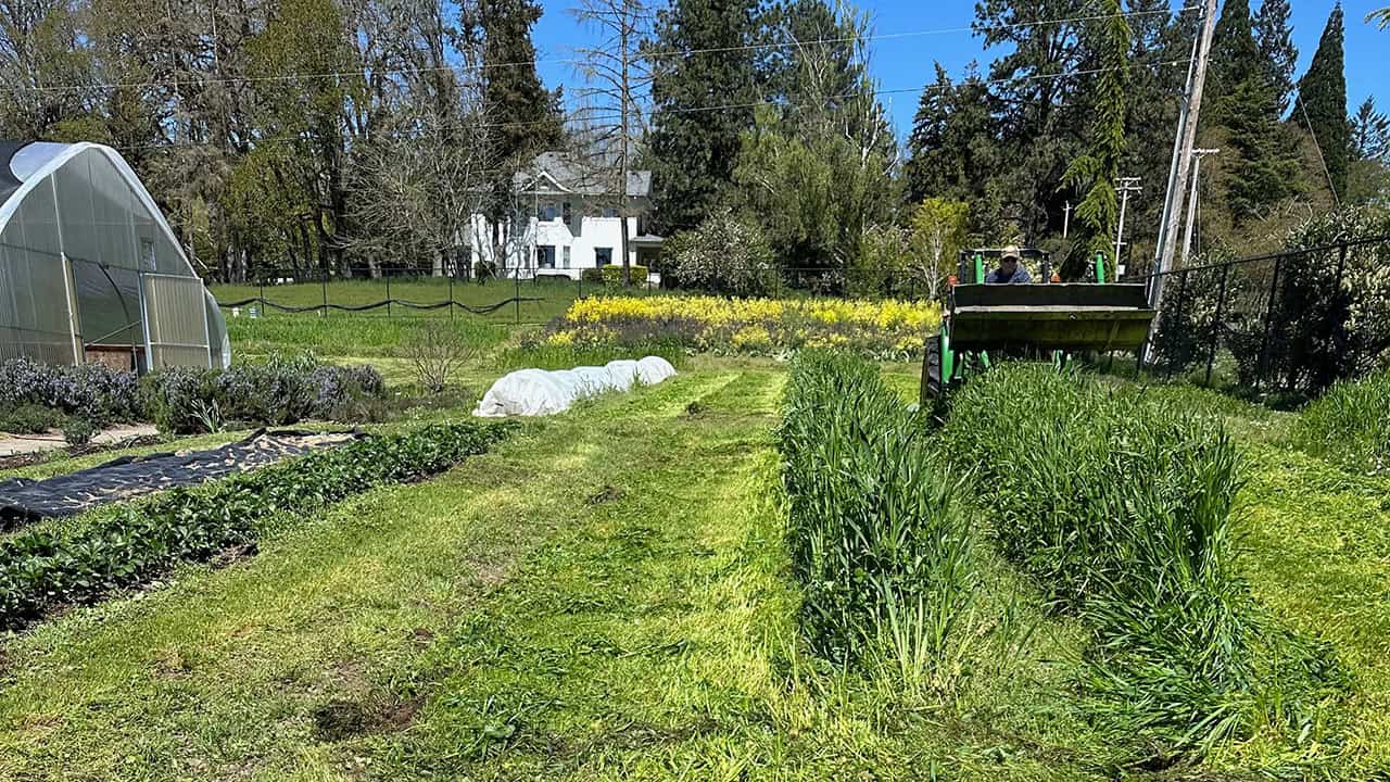 Chefs Garden Spring Mowing