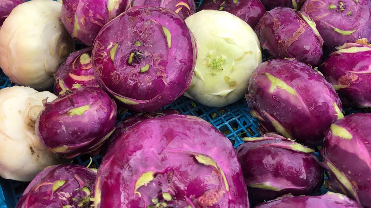 Purple And White Kohlrabi