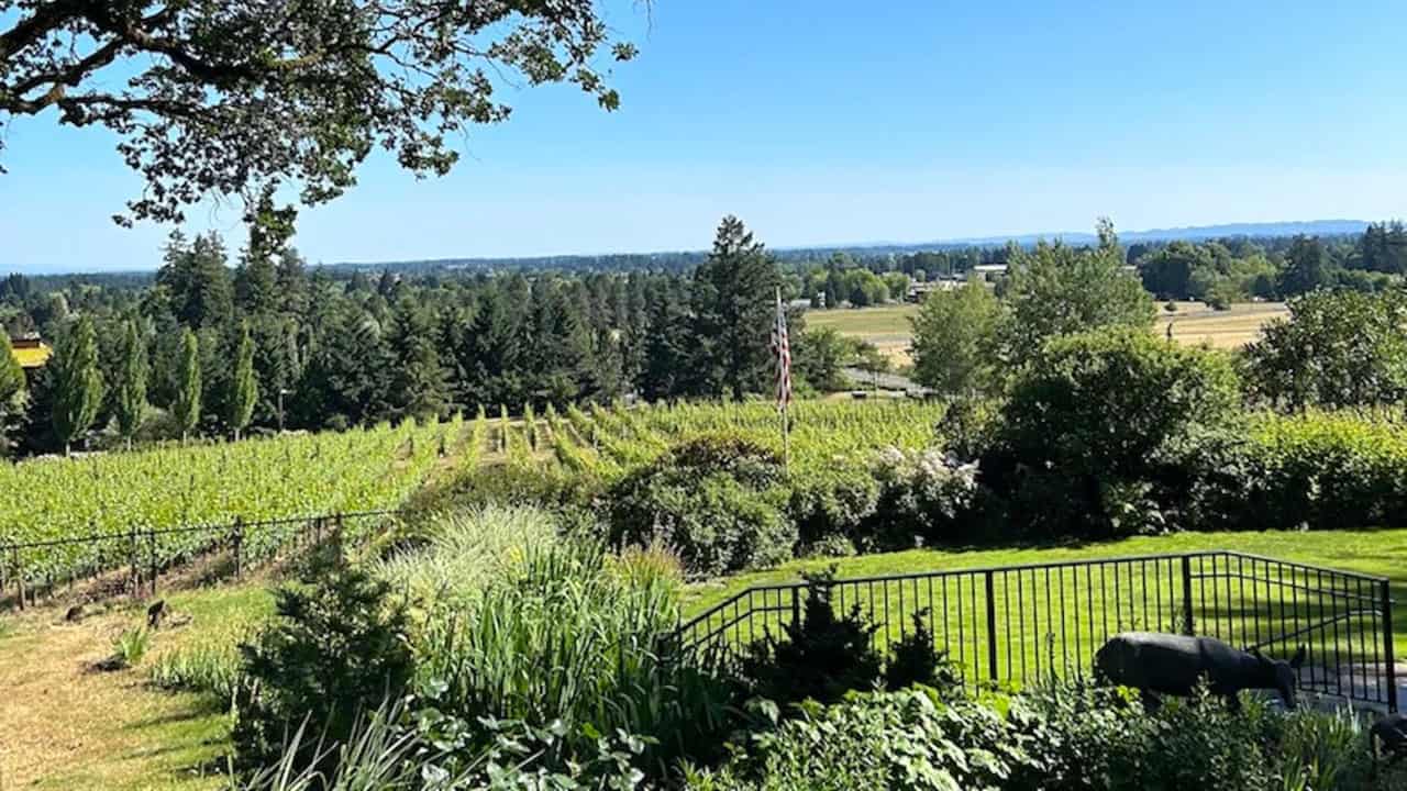 The Allison Inn And Spa Willamette Valley Scenic Views