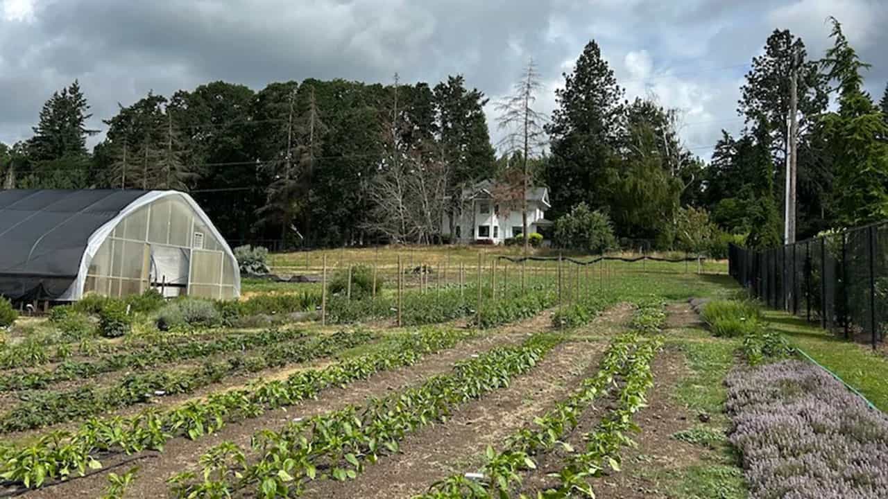 Chefs Garden At The Allison Inn And Spa