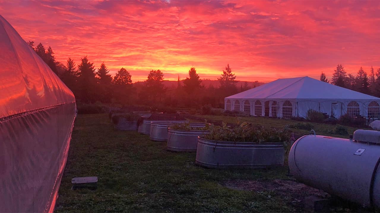 Chefs Garden November Colorful Sunrise