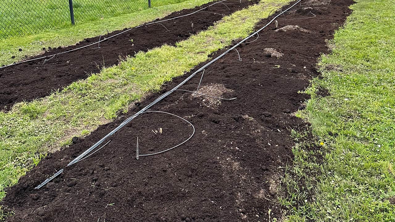 Chefs Garden Perennial Flower Beds