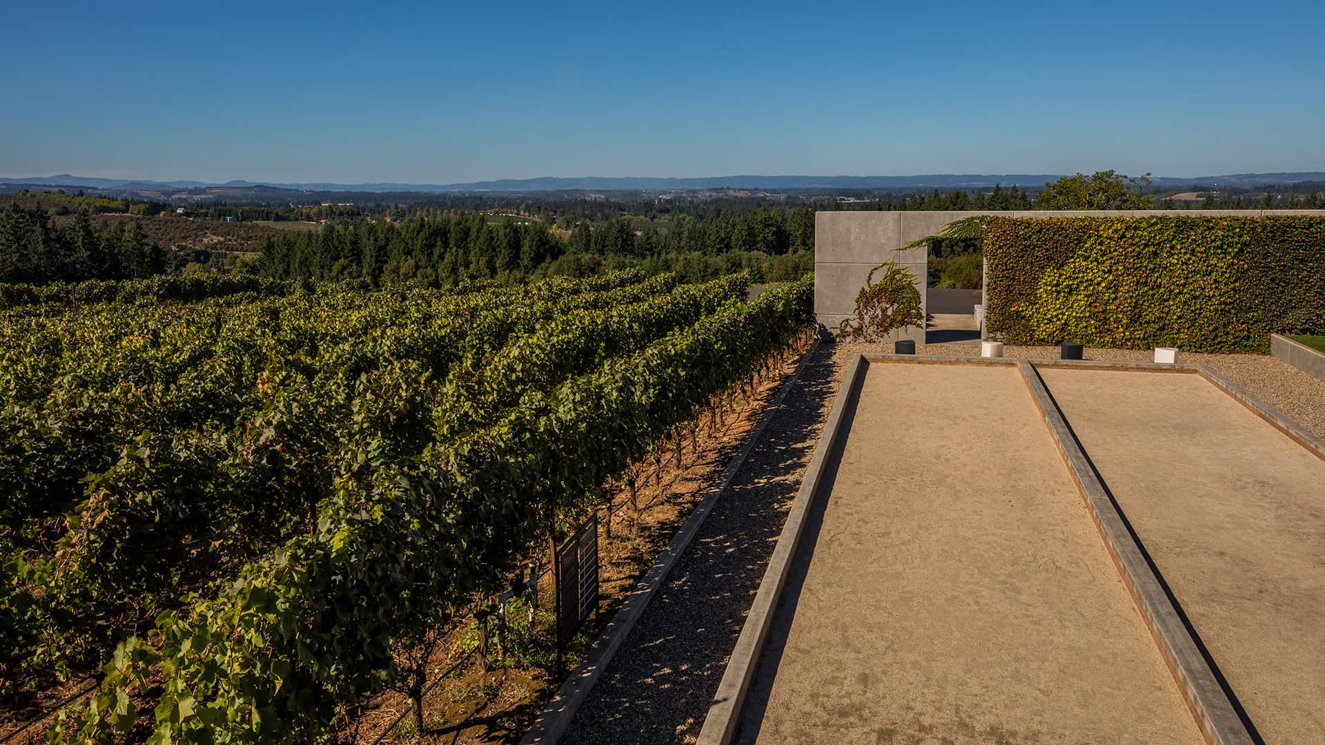 Ponzi Vineyards