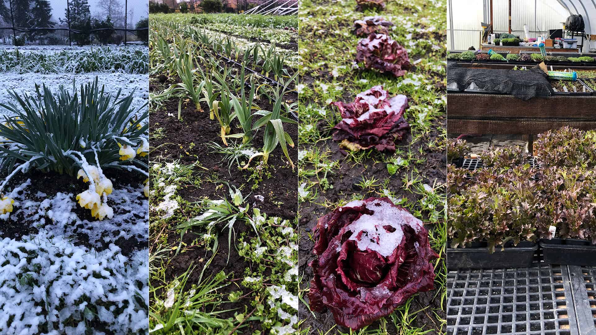 March 26, 2023 State of Chefs Garden