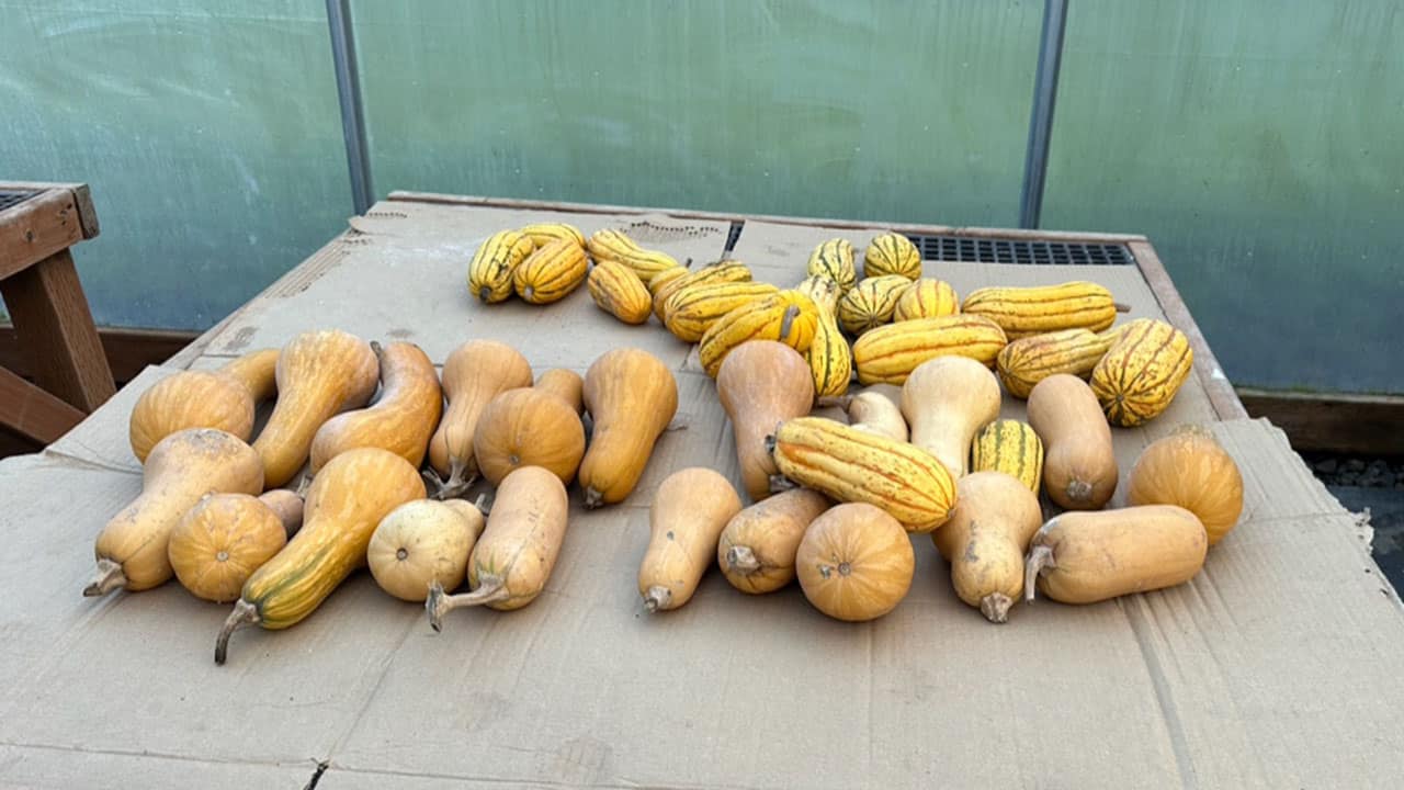 Chefs Garden February Winter Squash